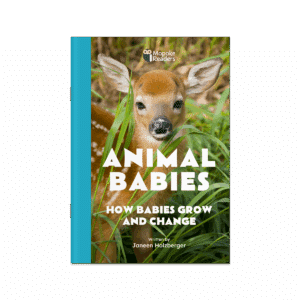Animal Babies: How Babies Grow and Change (Mopoke Readers, Set 1)
