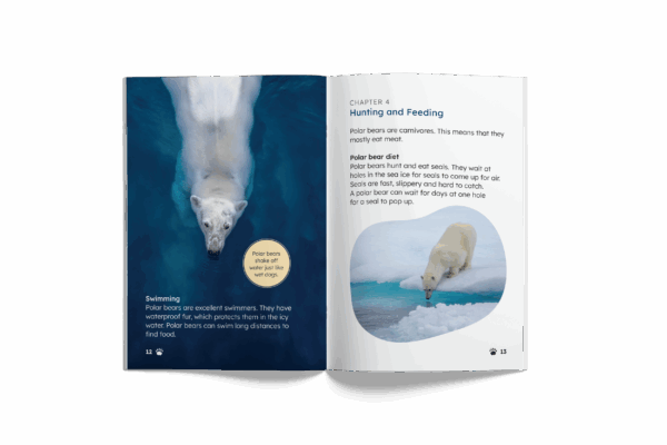 Polar Bears (Mopoke Readers, Set 1) - Image 3