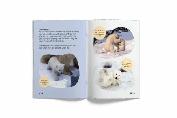Polar Bears (Mopoke Readers, Set 1) - Image 2