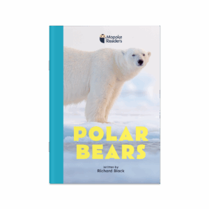 Polar Bears (Mopoke Readers, Set 1)