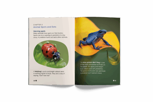Dots, Spots and All Things Round (Mopoke Readers, Set 2) - Image 3