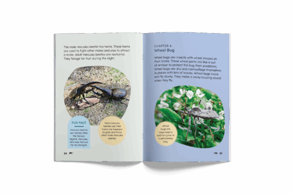 Incredible Insects (Mopoke Readers, Set 2) - Image 3