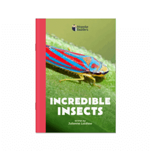 Incredible Insects (Mopoke Readers, Set 2)