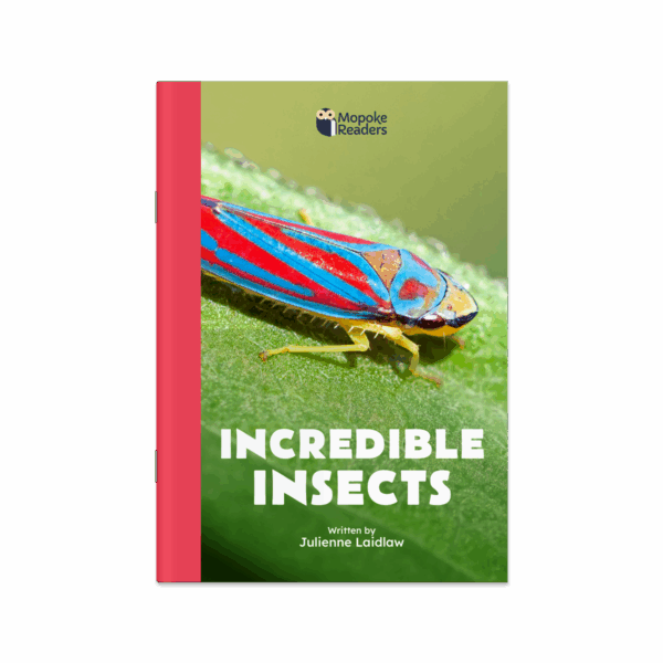 Incredible Insects (Mopoke Readers, Set 2)