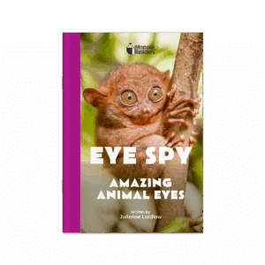 Eye Spy: Amazing Animal Eyes (Mopoke Readers, Set 3)