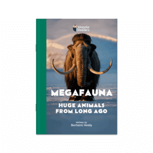 Megafauna: Huge Animals From Long Ago (Mopoke Readers, Set 4)