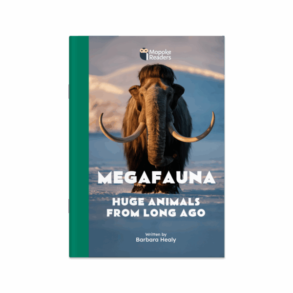 Megafauna: Huge Animals From Long Ago (Mopoke Readers, Set 4)